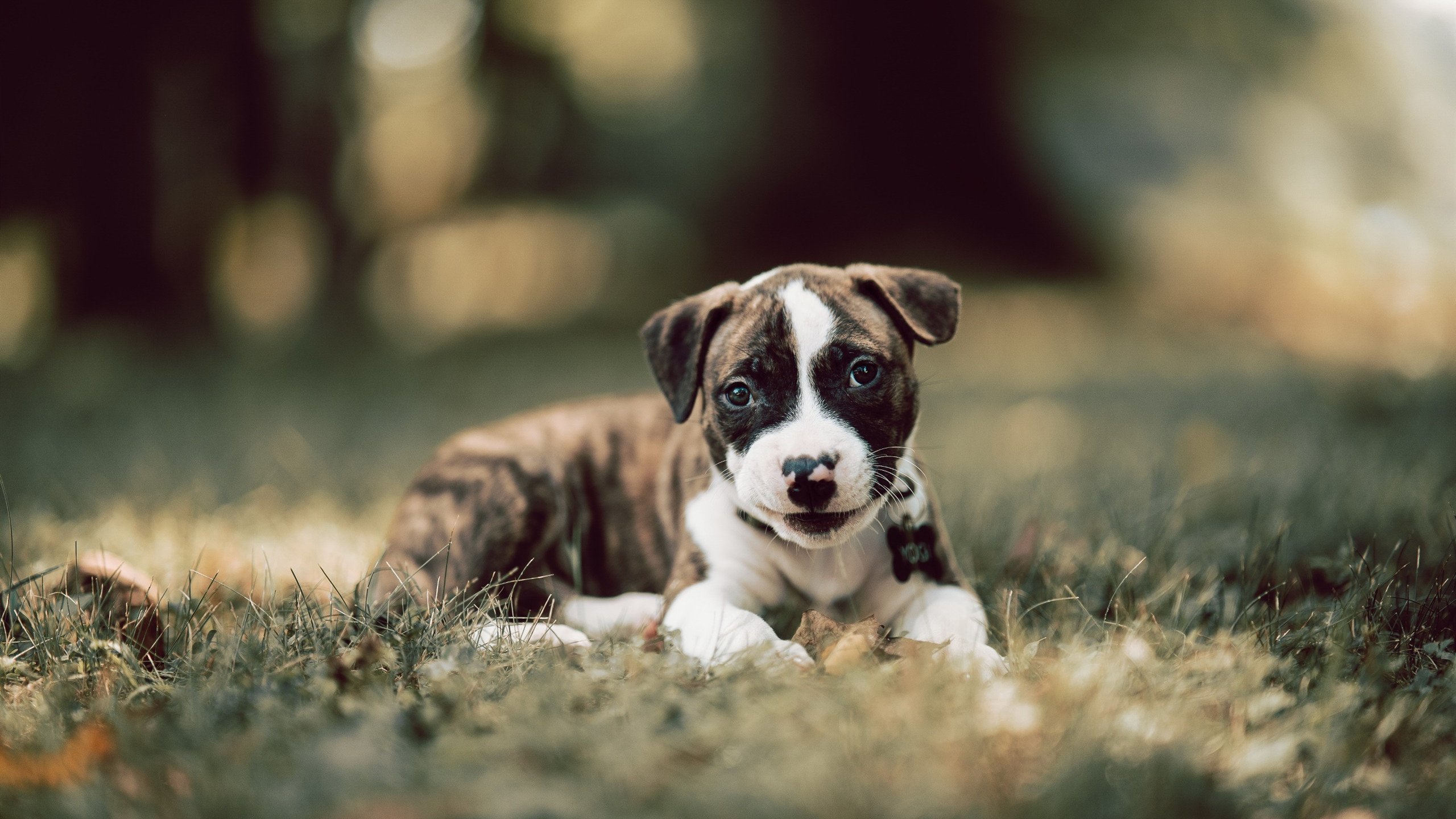 开云体育官方-丁俊晖回顾经典赛称曾彻夜难眠，丁俊晖最精彩一局